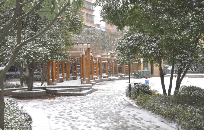 初雪逢周末，多個(gè)項(xiàng)目及時(shí)展開清理工作